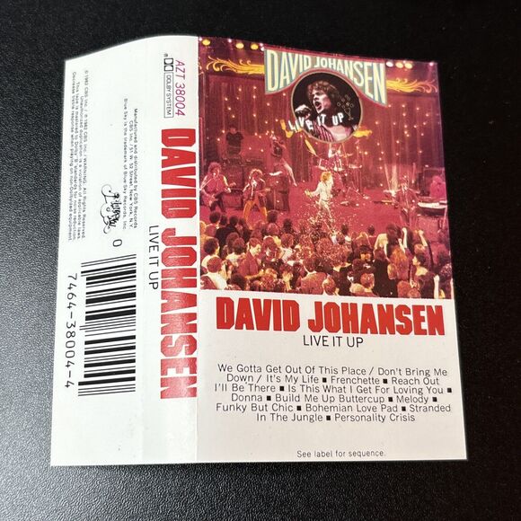 DAVID JOHANSEN-LIVE IT UP-BLUE SKY RECORDS 1982 Cassette Tape Preowned - Picture 3 of 6